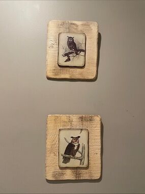 Set of 2 owl prints wall decor